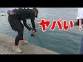 堤防の真下で時価１万円の魚がオモリ付き針で釣れた！