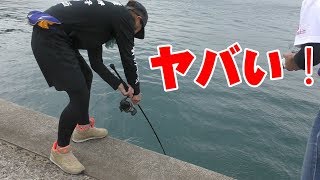 堤防の真下で時価１万円の魚がオモリ付き針で釣れた！