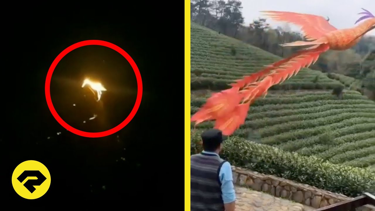 KUASA TUHAN!! MUNCUL BURUNG API PHOENIX DI CHINA!! PERTANDA APA INI ...