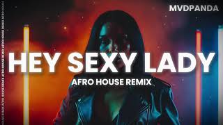 SHAGGY - HEY SEXY LADY - AFRO HOUSE REMIX [2026] ft. Brian & Tony Gold