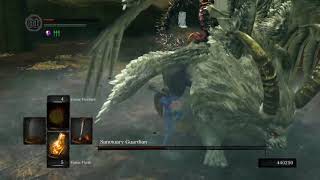 SL1 NG+6 No rolling/blocking/parrying Sanctuary Guardian