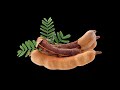 TAMARINDO: Ayuda a mejorar la digestión y es un excelente desintoxicante natural #sabiasque #frutas