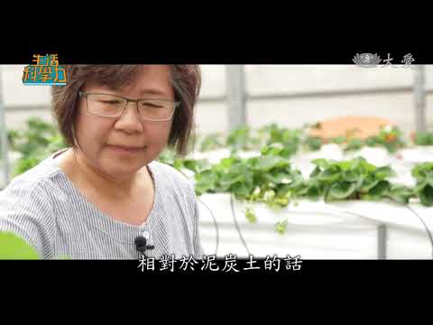 三度利用！ 廢棄菇包的重生之旅