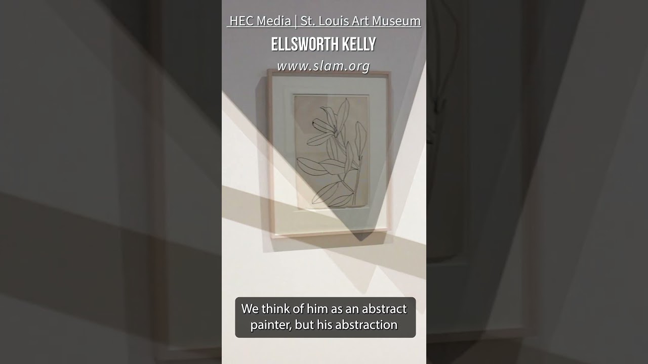 Ellsworth Kelly at the Saint Louis Art Museum 