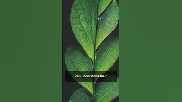 When Plants Talk: The Future of Plant Technology