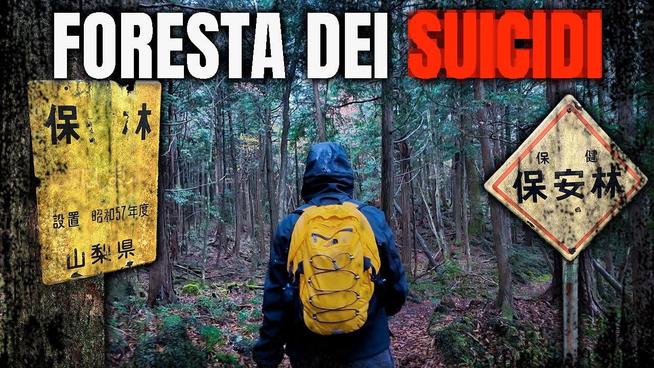 PERDERSI NELLA FORESTA dei SU1CIDI in GIAPPONE