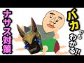 バカでもわかる！ナサス対策