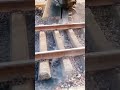 Satisfying Railway Maintenance #shorts
