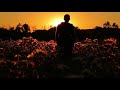 مشهد للمونتاج شاب يمشي عند غروب الشمس دقة HD 