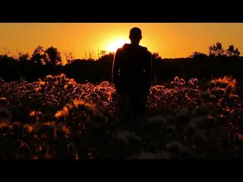 مشهد للمونتاج شاب يمشي عند غروب الشمس دقة HD 