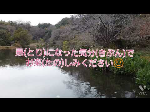 [B.W＃特典]空撮IN八景水谷公園