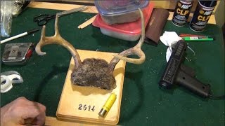 Pickled Hide Method for Mounting Deer Antlers