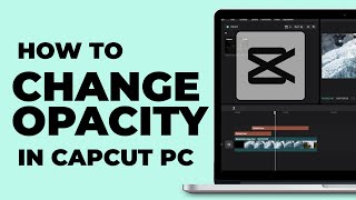 How To Change Opacity in CapCut PC | Windows & MacBook | Latest Update screenshot 2
