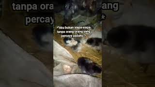 Sholawat Nabi sholawatsedih storywa selfreminder masukberanda sholawatbikinadem short