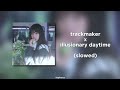 Trackmaker X Illusionary Daytime Douyin Slowed 