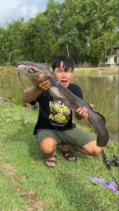 Mancing Liar Dapat Ikan Lele Monster Berat 6 kg #mancing #mancingliar #lele #tahubulat #umpan