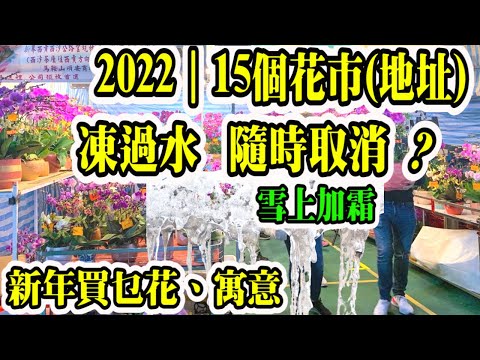 Smart Travel娛樂八卦｜Omicron｜消息：虎年年宵花市取消?　花農稱暫未收到通知｜15個年宵市場攤位地址｜新年買什麼花