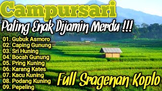 CAMPURSARI SRAGENAN KOPLO TERBARU 2024 || Full Sragenan Campursari Koplo