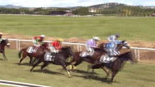 Vidéo de la course PMU PRIX DES ACCACIAS