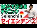 試合で使えるテクニック　セイエンチン② Techniques Seienchin Karate 空手 からて Kata 形　Ryusensei りゅう先生　りゅうチューブ