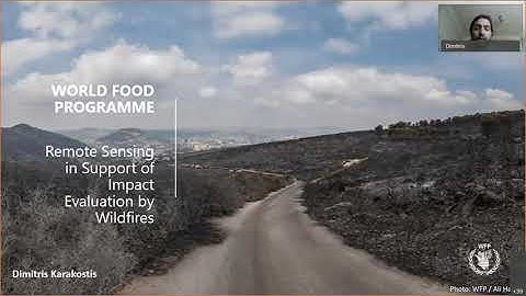 Remote Sensing in Support of Impact Evaluation by Wildfires