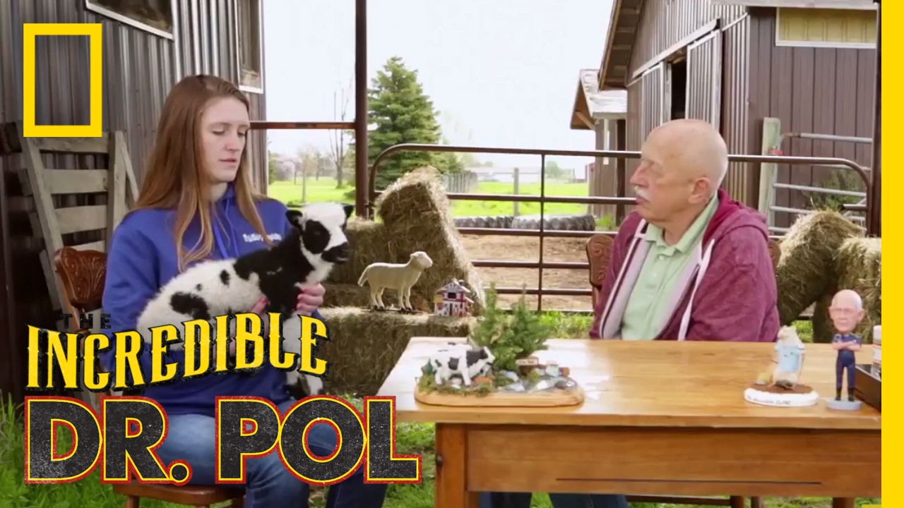 nat geo wild logo The Interrupting Sheep - Season 4, Episode 11 | Coffee Break with Dr. Pol
