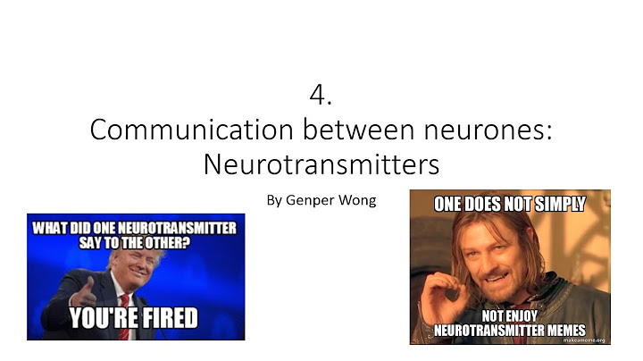 Which of the following neurotransmitters inhibits the communication between neurons?