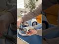 How Loud Are Dog Grooming Vacuums Really? Real Sound Comparison #shorts #doggroomingvacuum
