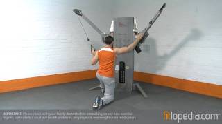 Single Arm Cable Cross Lat Pull Down on Swiss Ball with Isometric Tension