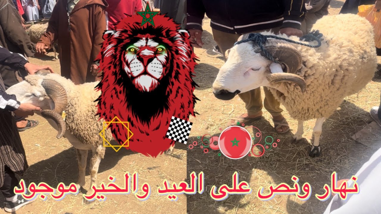 آجي تشوف سوق تيزنيت هاذ النهار ،باقي نهار و نص على العيد الكبير،الخير موجود و الثمن طالع مع الأسف