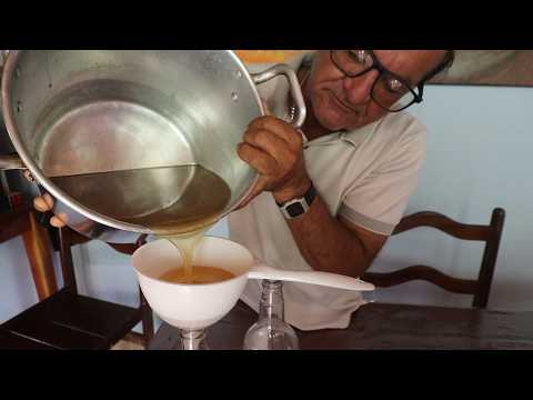 COLHENDO MEL DAS MINHAS URUÇUS