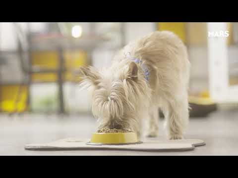 Mars Net Zero Petcare