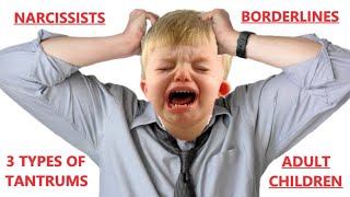 The Toxic Adult Temper Tantrum