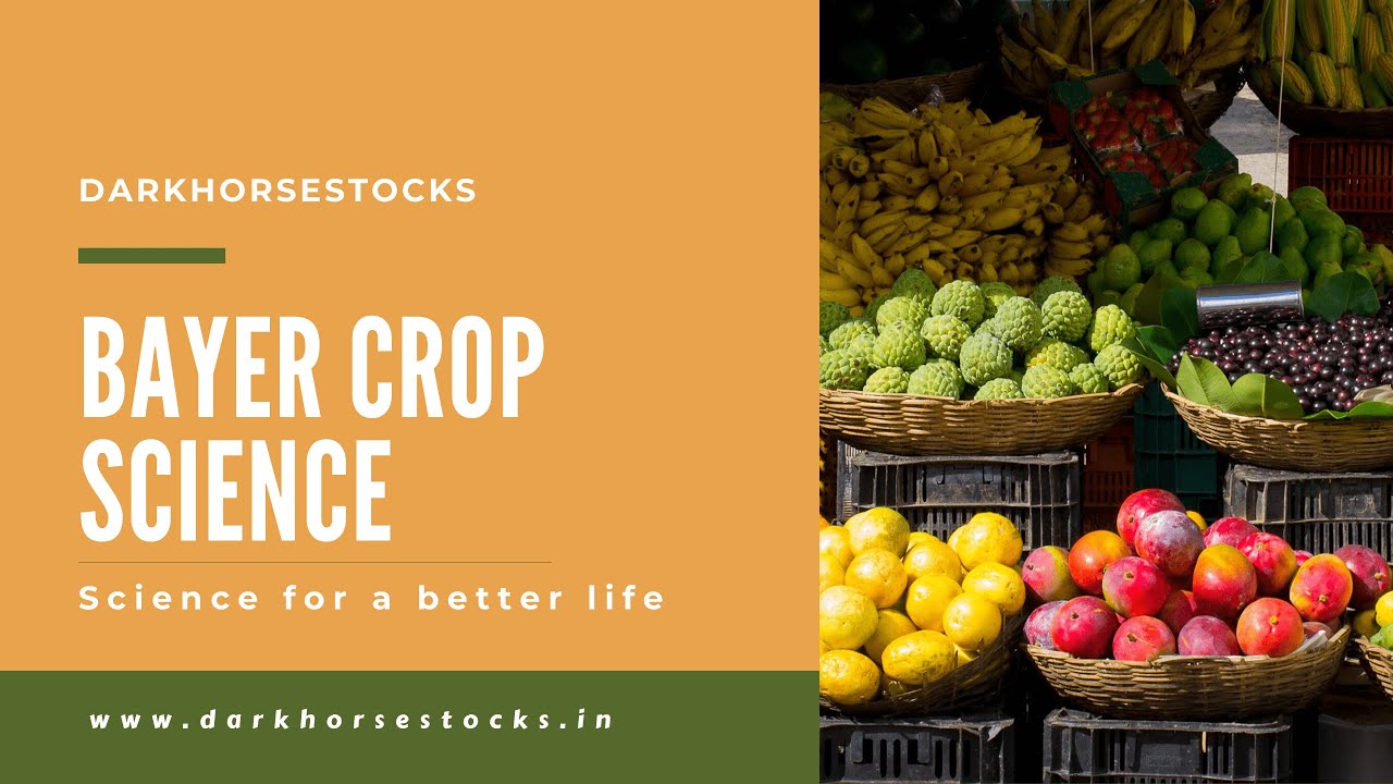 Bayer Crop Science | DARK HORSE STOCK | Stock Market | Future Multibagger | Value Investing | Equity