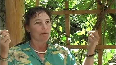 The Work - The Art of Learning and Unlearning. An Intro to the Alexander Technique.