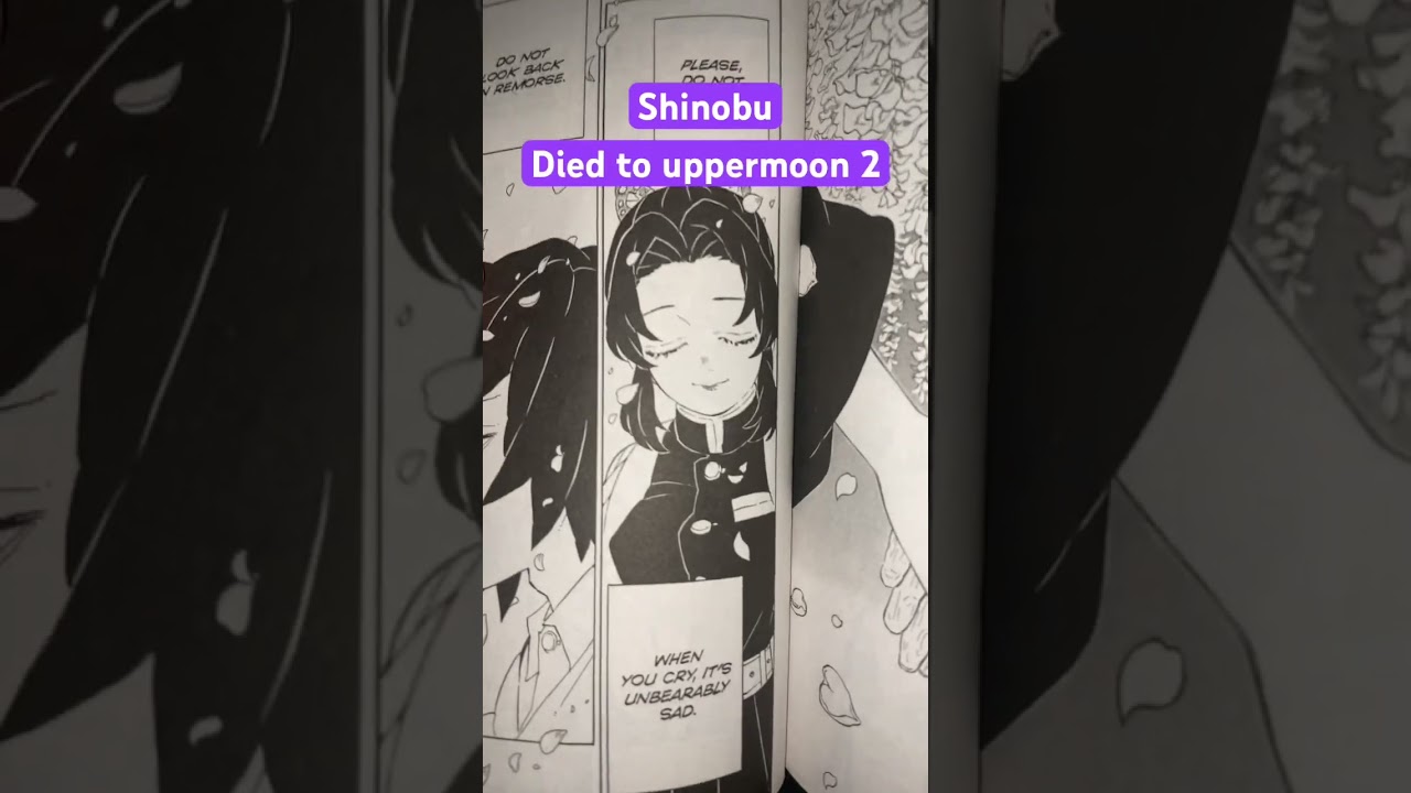 Everyone who died in the infinity castle 