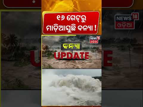 ବଢୁଛି ମହାନଦୀର ଜଳସ୍ତର... Hirakud Dam Opens 16 Gates: Mahanadi River Water Level Rises Rapidly !