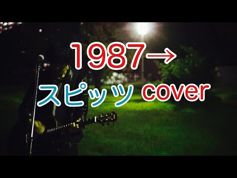 1987→　スピッツ（spitz）　弾き語り　カバー／浅井しんや