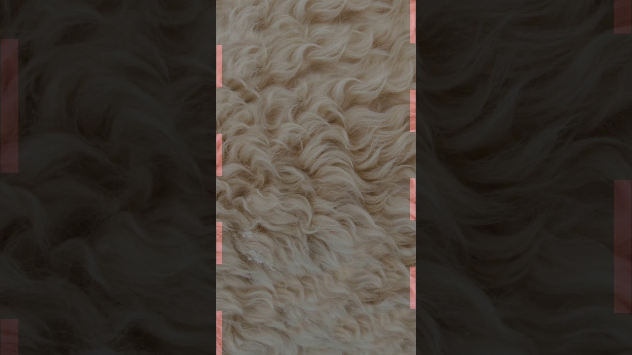 Soft electronic dance royalty free music track. This track has a "chill-out" mood perfect for presen