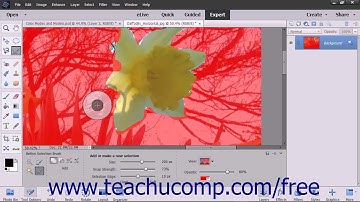 Photoshop Elements 15 Tutorial Refine Selection Brush Tool Adobe Training