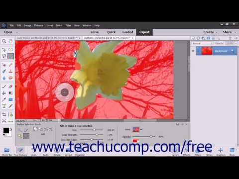 Photoshop Elements 15 Tutorial Refine Selection Brush Tool Adobe Training