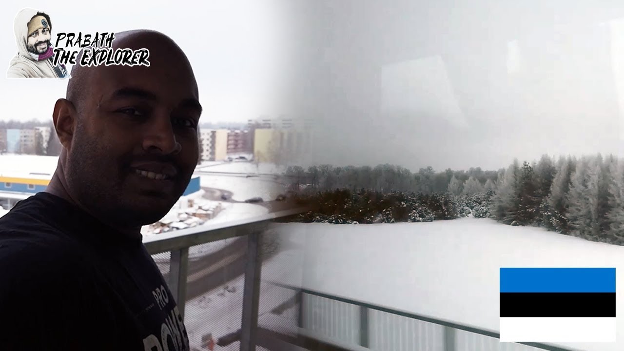 Estonia is AMAZING | Midnight Winter Fox in Tartu