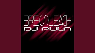 Download Lagu Breisleach (Instrumental) MP3