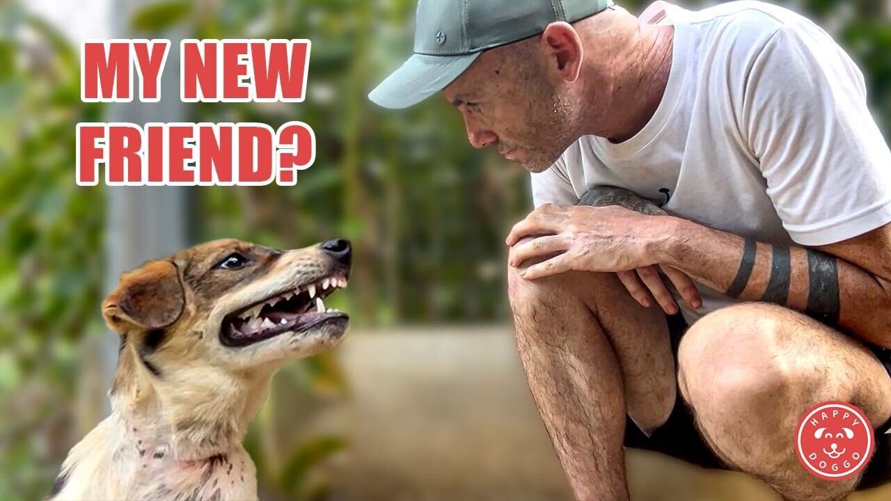 Latest Title & Thumbnail