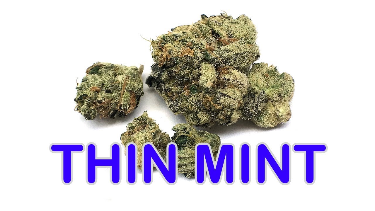 Thin Mint