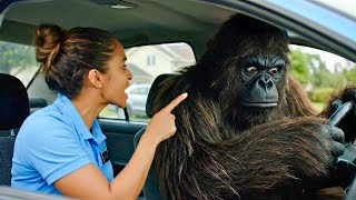 Funniest Bigfoot Vlog Compilation #13 | Best Bigfoot Fails & Crazy Funny Moments 2025 🤣🦧