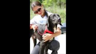 Rover Rescued