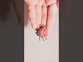 Clay Art | ladybug 🐞 | made by Emaan Zia | @ClayArt123-g1b