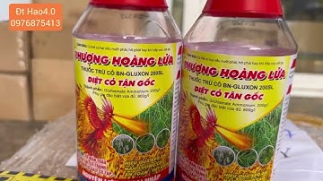 Thuốc trừ cỏ loại nào tốt nhất hiện nay giá cả rất phải chăng bạn đã biết chưa?Phượng Hoàng Lửa