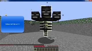 【PLUGIN】Chia sẻ plugin LibsDisguises (1.11 - 1.12)